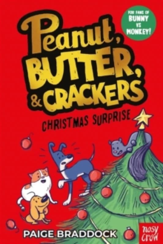 Christmas Surprise : A Peanut, Butter & Crackers story Paperback / softback