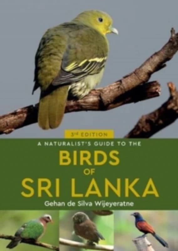 A Naturalist's Guide to the Birds of Sri Lanka (3rd edition) Paperback / softback