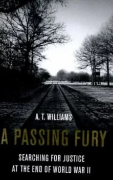 A Passing Fury by A. T. Williams Hardback