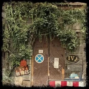 Ivy by US Rails CD Album