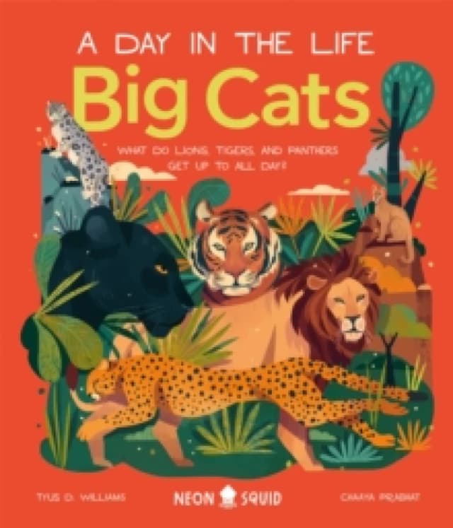 Neon Squid Big Cats (A Day in the Life) Book Multi