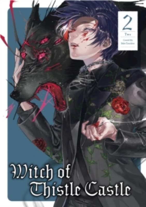 Witch of Thistle Castle Vol. 2 Paperback / softback