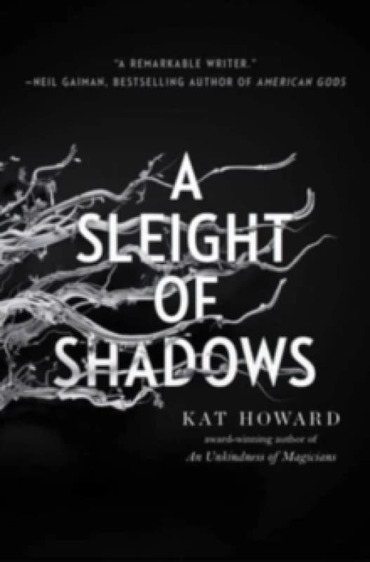 A Sleight of Shadows : Volume 2 Paperback / softback
