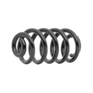 RIDEX Coil spring Rear Axle 188C1212 Suspension spring,Springs AUDI,A6 Avant (4F5, C6),A6 Limousine (4F2, C6)
