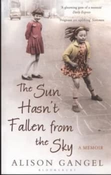 The Sun Hasnt Fallen from the Sky by Alison Gangel Paperback