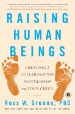 raising human beings creating a collaborative partnership with your child