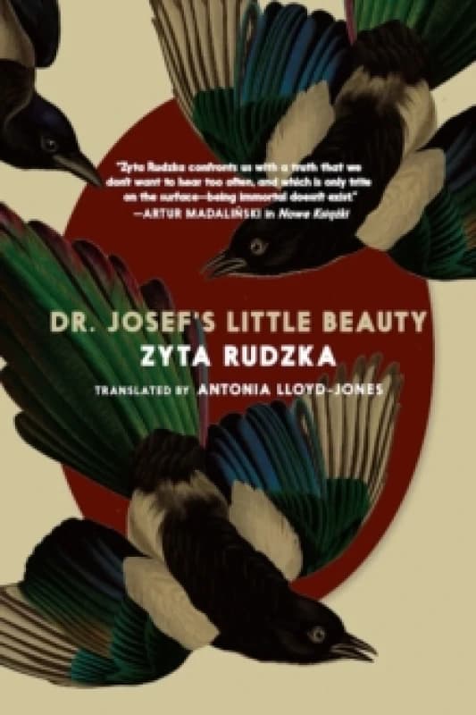 Dr. Josef's Little Beauty Paperback / softback