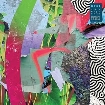The Nag's Head - Entropy Noodle Vinyl