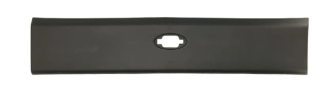 BLIC 5703-06-6089574P Body side molding Body side molding (1003)