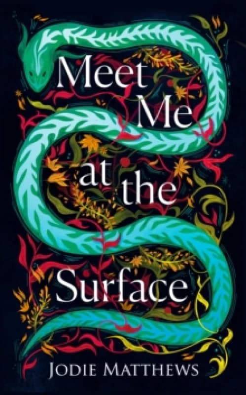 Meet Me at the Surface Hardback