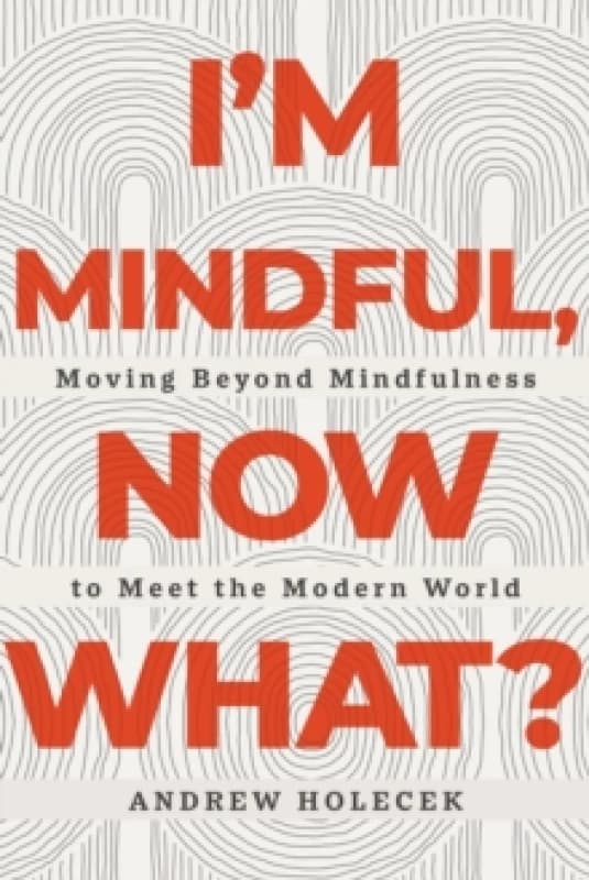 I'm Mindful, Now What? Moving Beyond Mindfulness to Meet the Modern World Paperback / softback