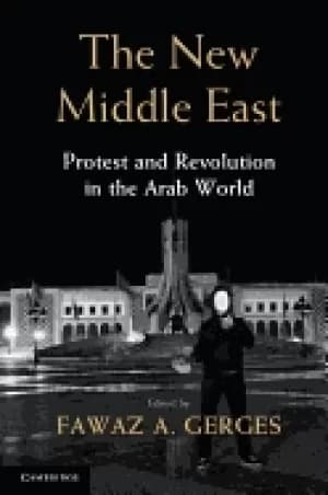 new middle east protest and revolution in the arab world