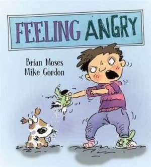 Feeling Angry by Katie Douglass Hardback