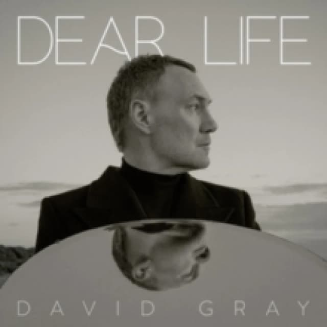 Dear Life CD / Album