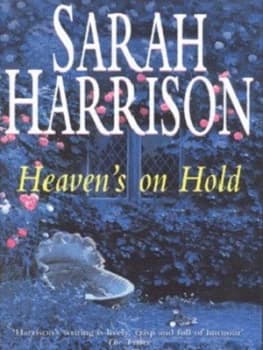Heavens on Hold by Sarah Harrison Paperback