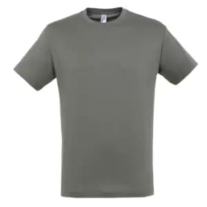 SOLS Mens Regent Short Sleeve T-Shirt (M) (Zinc)