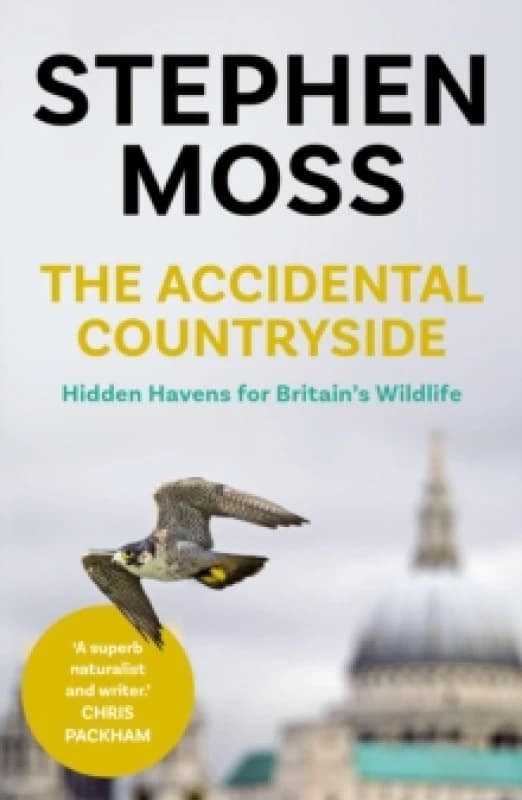 The Accidental Countryside : Hidden Havens for Britain's Wildlife Paperback / softback