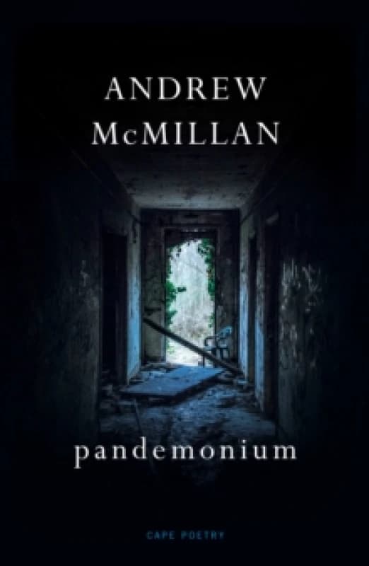 Pandemonium. Paperback. By Andrew McMillan Books