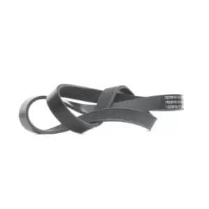 RIDEX V-ribbed belt 305P0393 Serpentine belt,Auxiliary belt FIAT,TOYOTA,HYUNDAI,BRAVO II (198),STILO (192),STILO Multi Wagon (192)