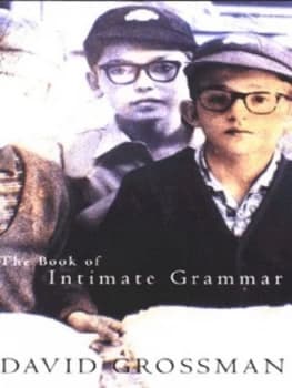 The Book of Intimate Grammar by David Grossman and Betsy Rosenberg Paperback