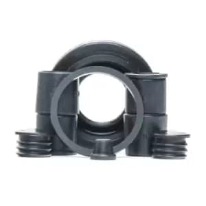 RIDEX Brake Caliper Repair Kit VW,BMW,FIAT 405R0172 SOB100020 Caliper Repair Kit,Brake Caliper Rebuild Kit,Repair Kit, brake caliper