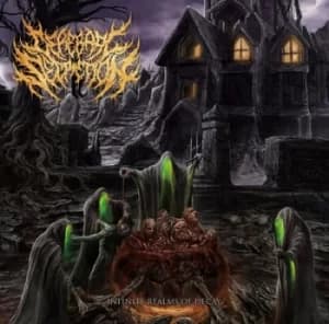 Infinite Realms of Decay by Cerebral Secretion CD Album