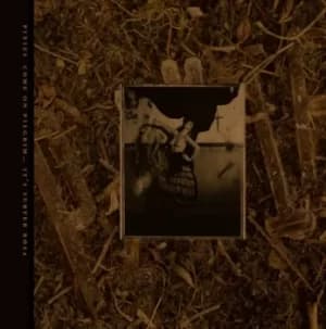 Come On Pilgrim Its Surfer Rosa by Pixies CD Album