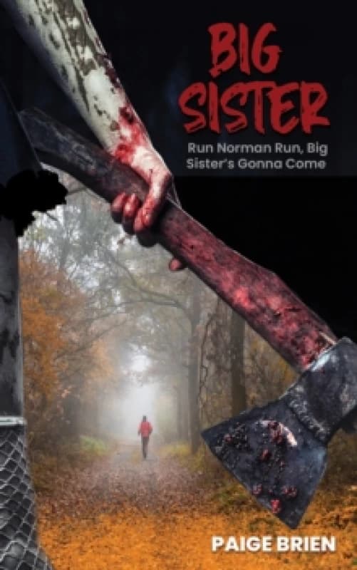 Big Sister : Run Norman Run, Big Sisters Gonna Come Paperback / softback