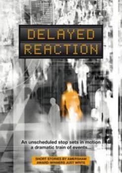 Delayed Reaction by Liz Losty Paperback