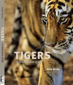 Tigers by Andy Rouse Hardback