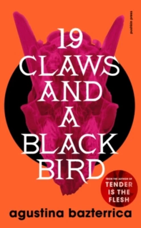 Nineteen Claws and a Black Bird Paperback / softback