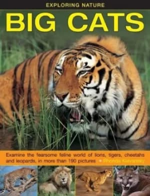Big cats by Rhonda Klevansky