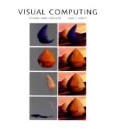 visual computing