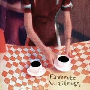 The Felice Brothers - Favorite Waitress Vinyl