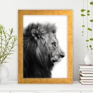 AC199109744 Multicolor Decorative Framed MDF Painting