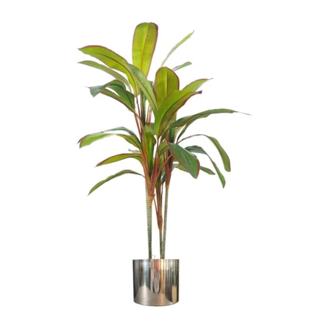 Leaf 100cm Artificial Potted Dracaena Tropical Plant with Silver Metal Plater Green