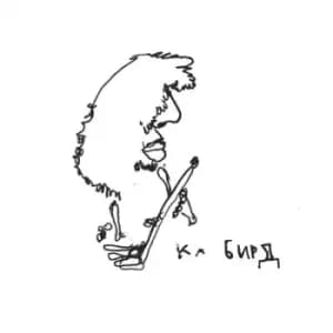 Sapropelic Pycnic by Ka Baird Vinyl Album