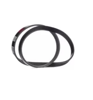RIDEX V-ribbed belt 305P0376 Serpentine belt,Auxiliary belt FIAT,TOYOTA,HYUNDAI,Uno Schragheck (146_),FIORINO Kasten (146),PALIO Weekend (178DX)