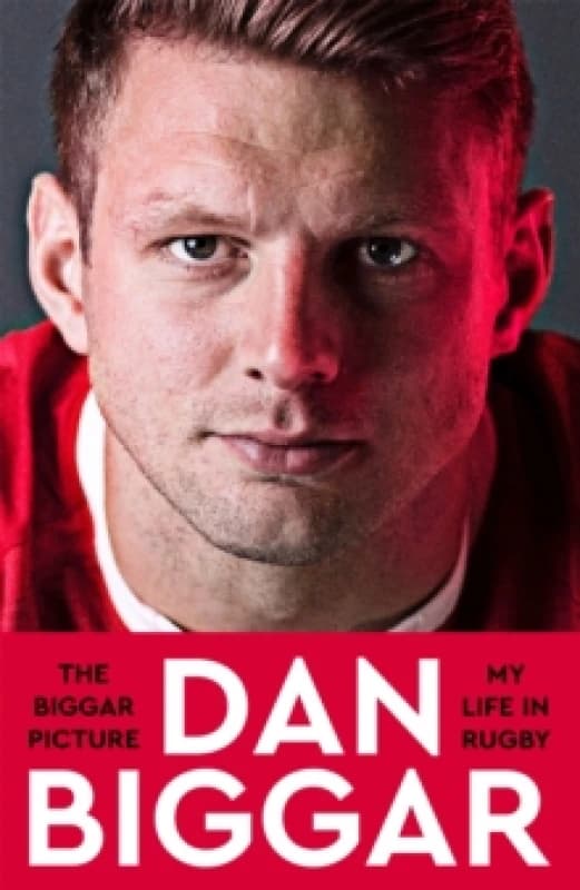 The Biggar Picture. Hardback. By Dan Biggar Books