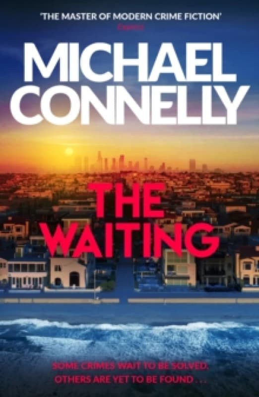 The Waiting : Inspiration for the hit Amazon Prime series BALLARD Paperback / softback