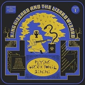 King Gizzard & The Lizard Wizard - Flying Microtonal Banana Vinyl