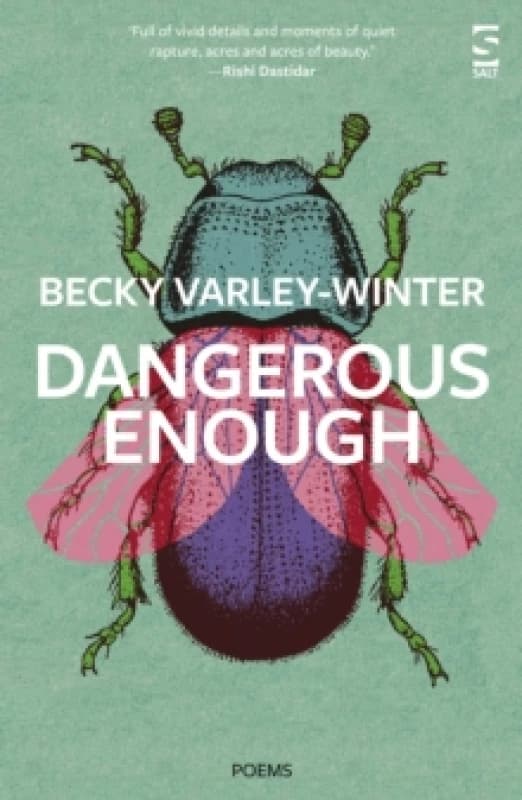 Dangerous Enough Paperback / softback