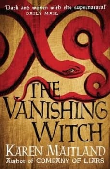 The Vanishing Witch by Karen Maitland Book