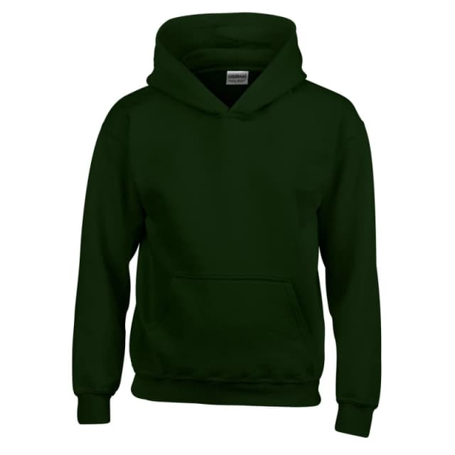 Gildan GD57B boys's Children's sweatshirt in Green