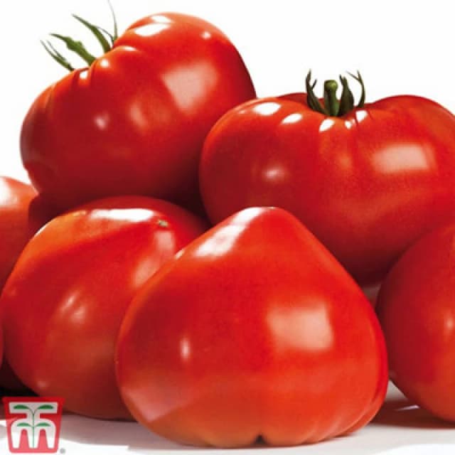 Thompson & Morgan Tomato Gourmandia F1 Voty 1 Seed Packet (4 Seeds)