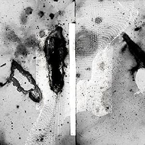 Certain Creatures Vipassana Vinyl