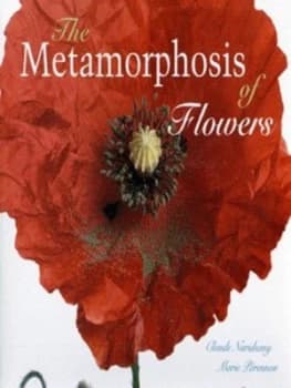 The Metamorphosis of Flowers by Claude Nuridsany and Marie Prennou Hardback