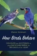 how birds behave discover the mysteries of what backyard birds do 365 days