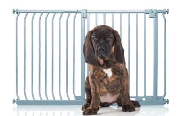 Bettacare Elite Pressure Dog Gate, 134Cm - 143Cm, Matt Grey, Pressure Fit Pet Gate For Dog And Puppy