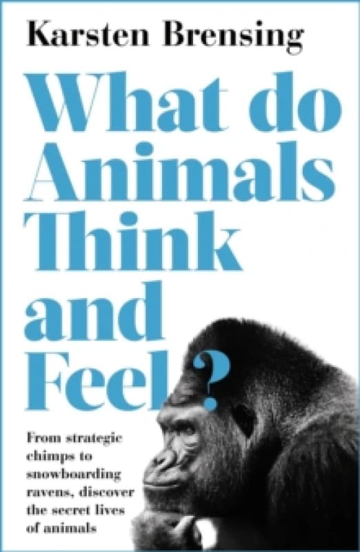 What Do Animals Think and Feel? Paperback / softback
